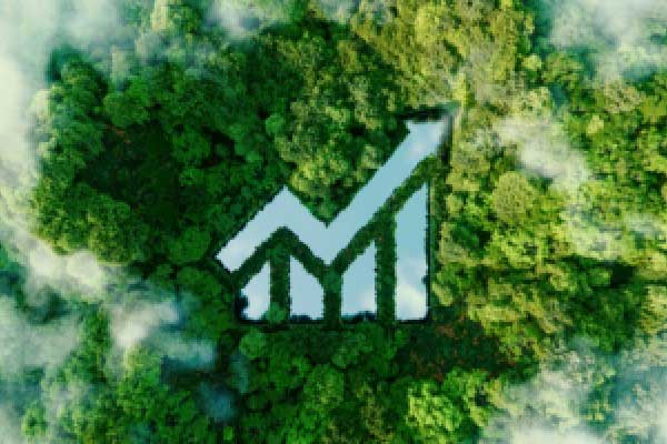 美联储鲍曼称AI对银行业机遇与风险并存 敦促加强系统安全防护
